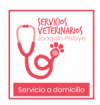 VETERINARIO A DOMICILIO